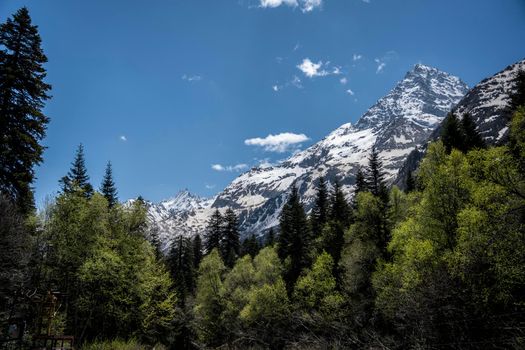 Caucasian mountains in Dombay in Russia in spring.
