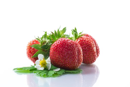 fresh ripe organic red strawberry isolated on white background