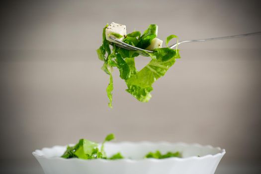 fresh green lettuce salad with mozzarella and herbs on a fork, on a wooden table