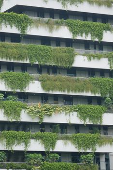 Eco-friendly building in singapore city