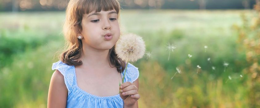 child girl blowing a dandelion. Selective focus.