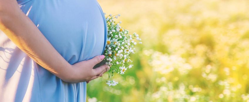 pregnant woman with camomiles in hands. Selective focus. nature.