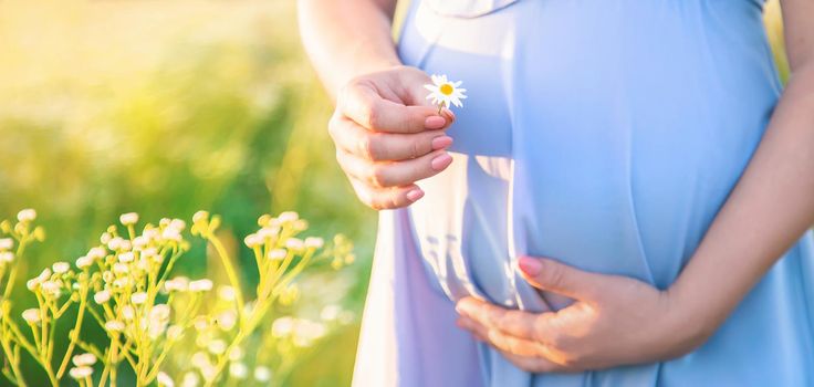 pregnant woman with camomiles in hands. Selective focus. nature.