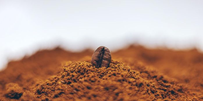 Coffee beans roasted close-up. Drink. Selective focus. Food.