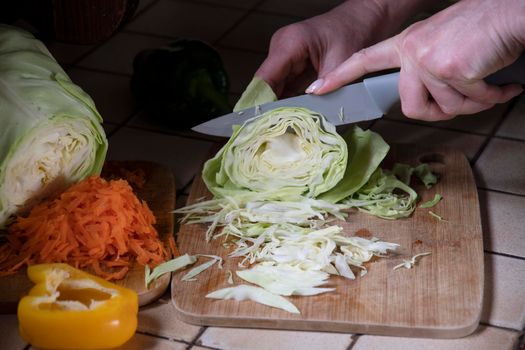 a woman cuts cabbage in the kitchen against the background of fresh vegetables, ingredients for step by step cooking soup. High quality photo