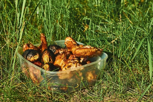 a dish of pieces of meat, fish, or vegetables roasted or grilled on a skewer or spit. Plastic container with freshly fried meat, chicken and potatoes.