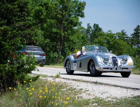 URBINO, ITALY - JUN 16 - 2022 : JAGUAR XK120 OTS ROADSTER 1951 on an old racing car in rally Mille Miglia 2022 the famous italian historical race (1927-1957