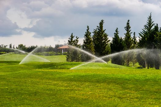 Watering of green grassland in Kachreti village in georgian region Kakheti in summer days