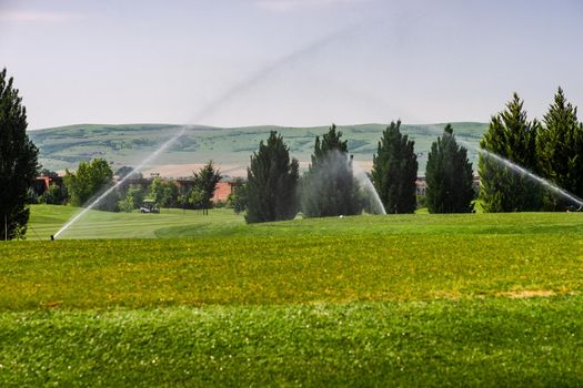 Watering of green grassland in Kachreti village in georgian region Kakheti in summer days