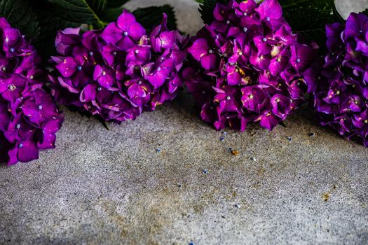 Frame with purple hydrangea flowers on concrete background