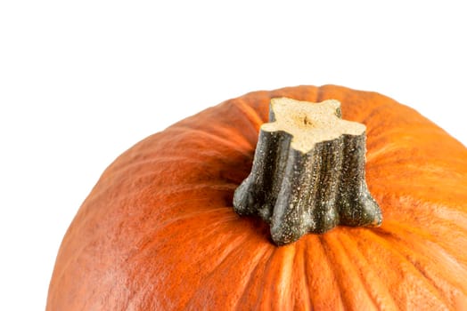 Pumpkin on a white background. Halloween pumpkins isolate on white