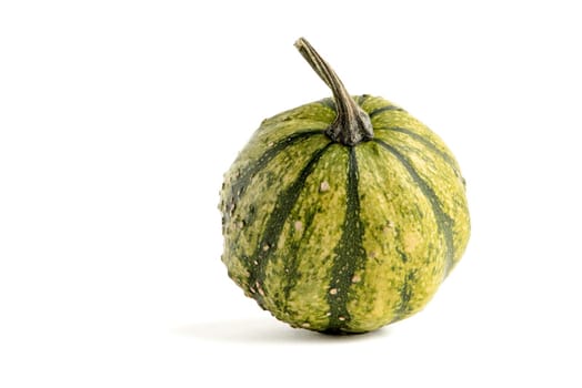 Decorative pumpkin of green color isolate on a white background.