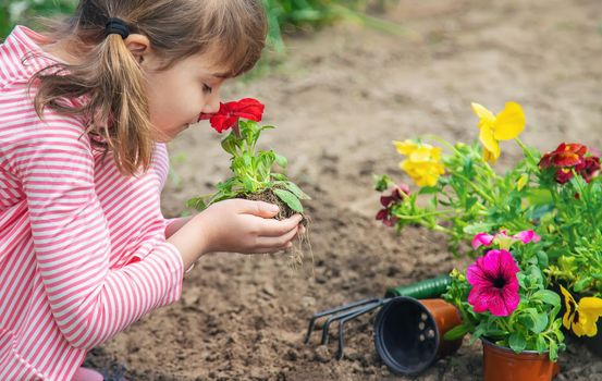 A child plants a flower garden. Selective focus. nature.