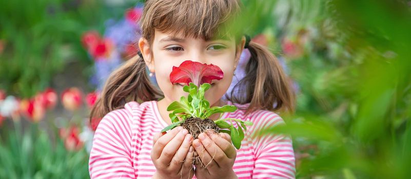 A child plants a flower garden. Selective focus. nature.