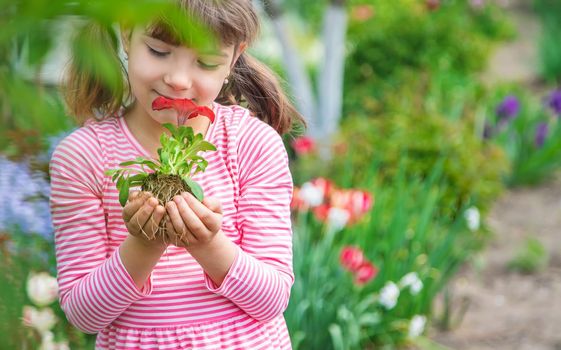 A child plants a flower garden. Selective focus. nature.