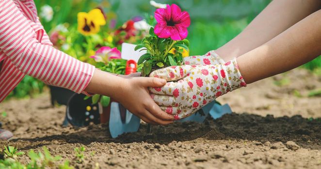 Child and mother plant flowers in the garden. Selective focus. nature.