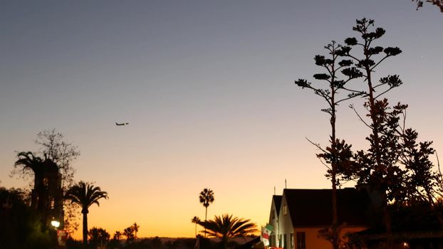 Succulent agave cactus flower panicle, western California, USA. Desert town after sunset, century or sentry plant in twilight dusk. evening atmosphere in southern united states. City near Los Angeles.