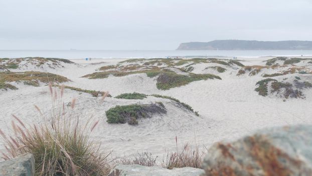 Sand dunes of misty Coronado beach, ocean waves in fog, California coast, USA. Cloudy overcast weather in San Diego. Succulent plant on calm quiet sea shore in brume, grass in haze, serenity aesthetic