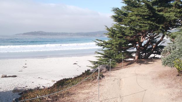 Promenade path, walkway, trail or footpath, ocean sandy beach in Carmel, Monterey, California coast USA. Sea water waves crashing on shore. Waterfront beachfront pine cypress trees. Pathway or footway