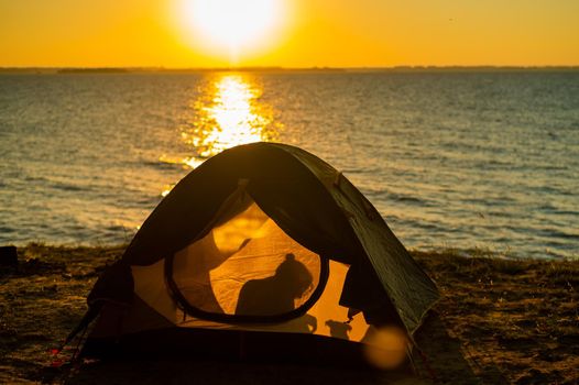 Woman and dog in a tourist tent at sunset. Camping with a pet.