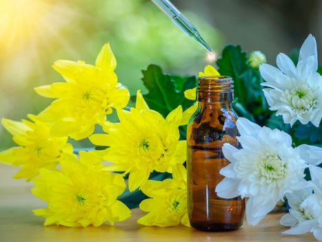 The essential oils extract and medical flowers herbs near the white and yellow flower on wooden table. The essential oil organic bio alternative medicine, brown bottle.