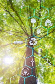 Symbol of protecting the planet from global warming and climate change. Development into business for environment from renewable energy Reduce fuel consumption, reduce greenhouse effect, plant trees