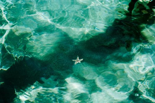 Abstract Real beauty nature background. Ocean bokeh Sea ripple wave surface. Shadow texture underwater depth bottom sand through water liquid. Photo Image art Modern design. Green blue light dark.