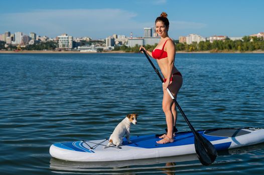 Dog jack russell terrier swims on the board with the owner. A woman and her pet spend time together at the lake.