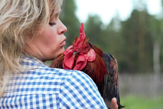 Beautiful woman in the chicken farm holding a chicken, healthy lifestyle and organic farming concept. Rooster and cat