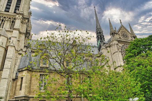 Cathedral notre dame, famous city of Paris in France, rich in history and full of wonderful attractions and monuments