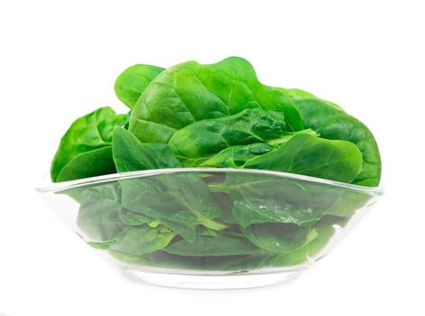 Pile of fresh green healthy baby spinach leaves on white background