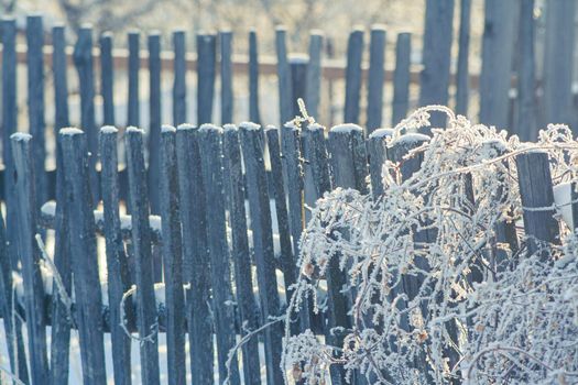 Old wooden snow covered fence. Overgrown palisade in the ice frozen hoarfrost at sunny winter day. Rural country scenery landscape