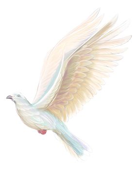 A white pigeon in flight. Beautiful picturesque wing. Watercolor illustration on a white background.
