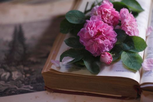 An old book, old picture and a bouquet of ancient pink roses in a vintage cup, summer reading concept, selective focus