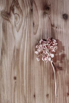 Red dried flower on wooden table  , memories and romantic activity