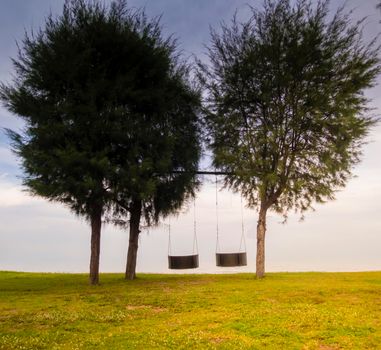 wood swing under the big tree beside sea beach nature background . beautiful sky happy vacation