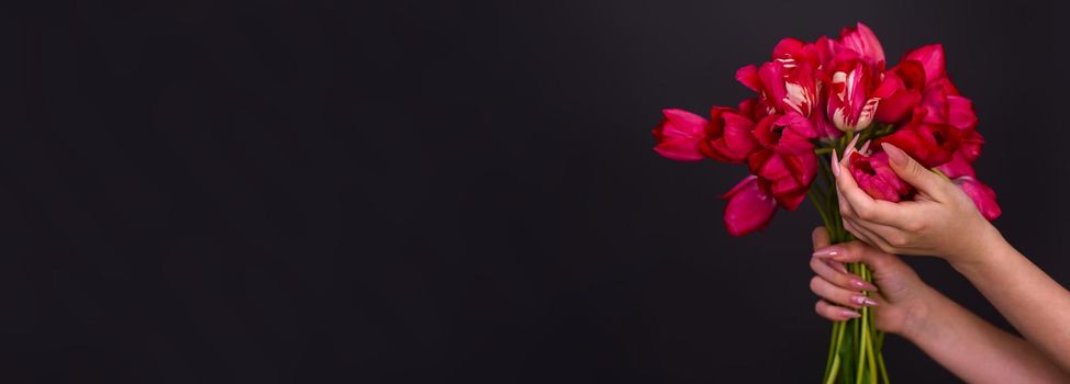 a bouquet of red tulips flowers in a woman's hand. banner on a black background. copy space