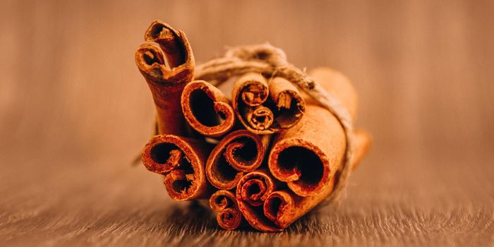 cinnamon sticks on the table, beautiful christmas background with spices, copy space, wood background