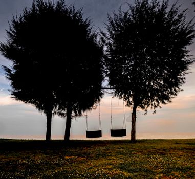 wood swing under the big tree beside sea beach nature background. beautiful sky in happy holiday vacation.