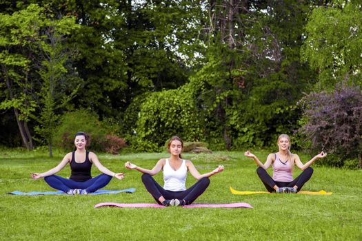 Group of beautiful healthy slimy young women doing exersices on the green grass in the park, siting in lotus poses and meditation with closed eyes. Outdoor, sport lifestyle, yoga time, wellness