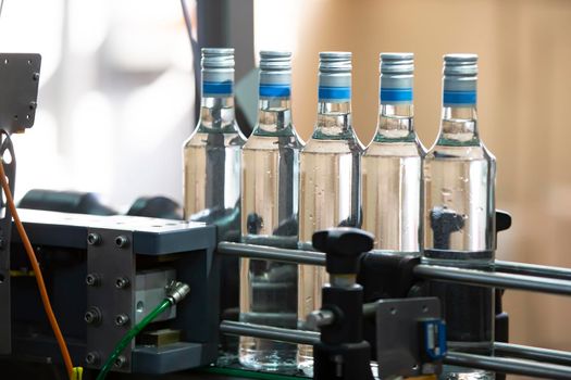 A long row of glass bottles on a conveyor belt. Production of alcoholic beverages.