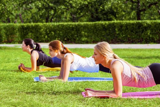 Side view group of satisfied beautiful healthy slimy young women doing exersices on the green grass in the park, standing in plank strap pose. Outdoor, sport lifestyle, yoga time, wellness weight loss