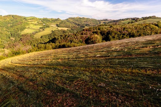 View of fields under Belvedere Fogliense, Region Marche of Italy. In the background appears the medieval city of Mondaino