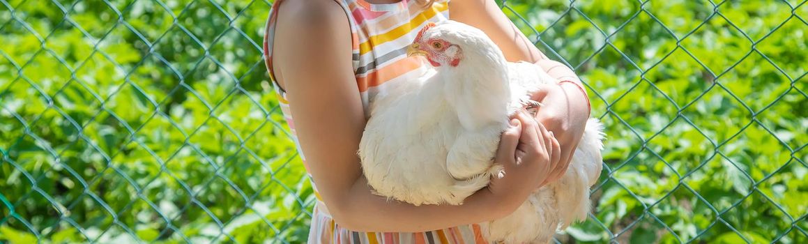 A child on a farm with a chicken. Selective focus.