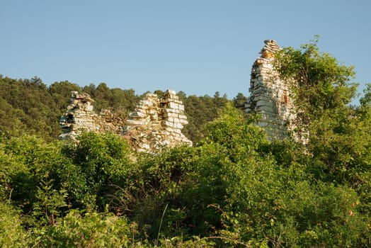 Ruin of an old stone house, in the Cesane mountains in Italy, Marche, close to Pesaro and Urbino. Various plants like broom and other herbs groe around