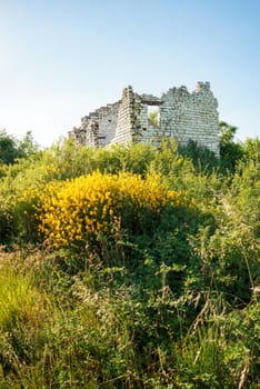 Ruin of an old stone house, in the Cesane mountains in Italy, Marche, close to Pesaro and Urbino. Various plants like broom and other herbs groe around