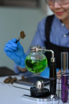 Cropped shot female scientist putting dry sample of cannabis into test tube. Herbal alternative medicine, cbd oil concept.
