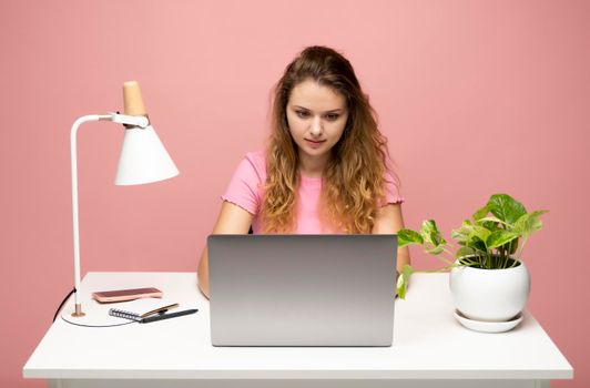 Young freelancer curly woman in a pink t-shirt working with a laptop computer over pink background. Working on a project. Freelance worker