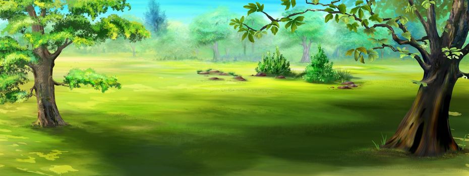 Trees in the forest clearing on a sunny summer day. Digital Painting Background, Illustration.