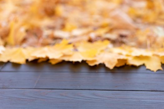 Empty wooden table nature bokeh background with autumn yellow maple leaf boarder Template mock up for display of product Copy space. Mock up for your design.